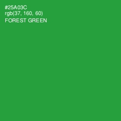 #25A03C - Forest Green Color Image